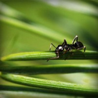 /album/viata-in-roz/photolia-a05-jpg/
